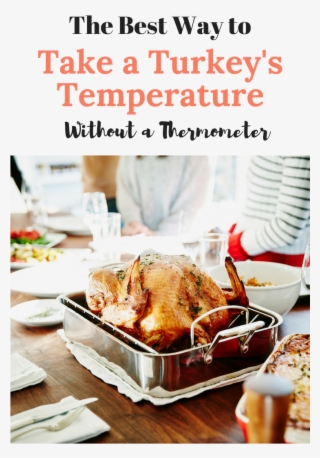 The Best Way To Take A Turkey's Temperature Without - Does Salmonella Look On A Turkey
