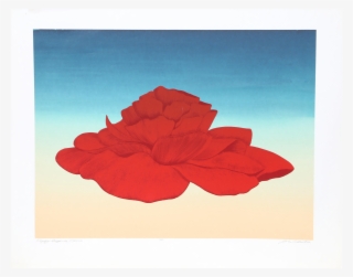 4096 X 3216 1 - Common Zinnia