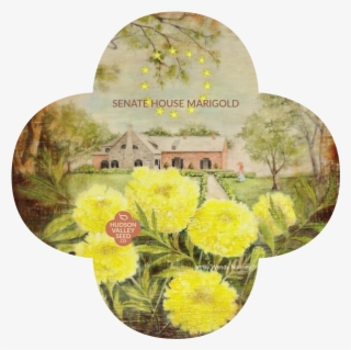 Senat House Marigold Quatrefoil - Chrysanths