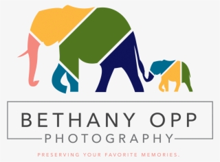 Bethany Opp Photography - Indian Elephant