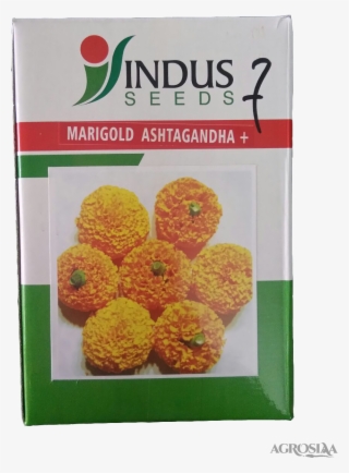 Indus Ashtagandha - Marigold Ashtagandha