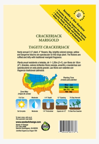 Organic Crackerjack Marigold Flower Seeds - Otco Seed Package