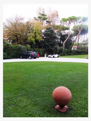 Lawn