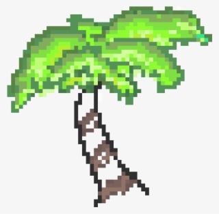 Coconut Tree - Palm Tree