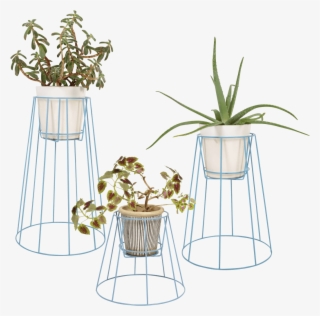 Plant Stand Cibele - Cibele Plant