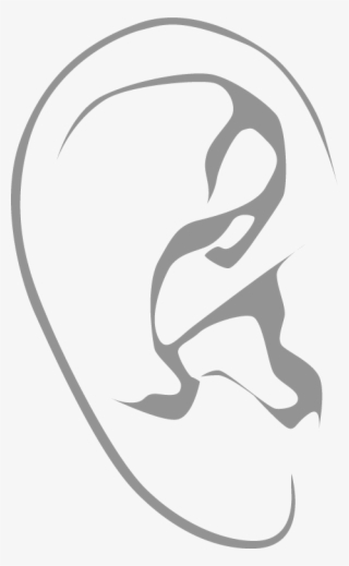 Ear-right - Illustration