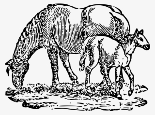 Open - Illustration