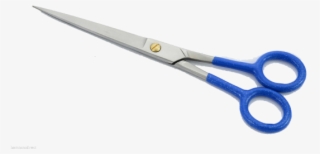 Scissors