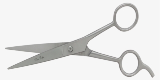 Dar De522 Barber Scissor W/s - Scissors