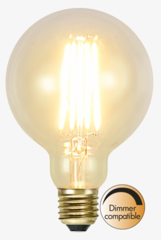 Incandescent Light Bulb