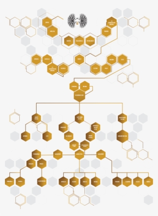 Global Citizen - Nelson Mandela Family Tree