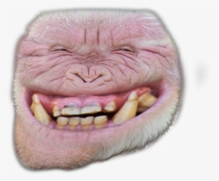 Albino Troll - Cat Yawns