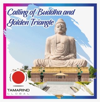 If You Would Like Further Assistance, Please Feel Free - Bodh Gaya