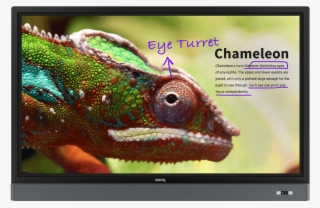 Rm5501k 55" Education Interactive Flat Panel - Benq Rm5501k