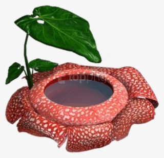 Free Png Bathtub Png - Inflatable