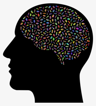 Big Image - Brain In Skull Clip Art