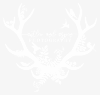 Antler White
