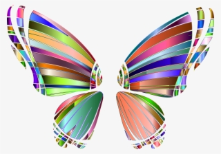 Rgb Butterfly Silhouette 10 5 No Background Icons Png