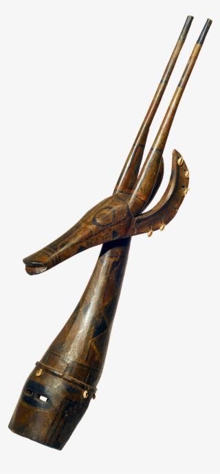 In 1884, The Museum Acquired Nearly 100 Cultural Objects - Horn