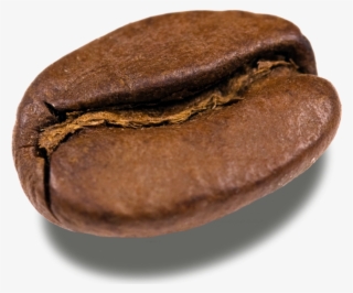 The Slow Roasted Bean - Coffee Beans Transparent Background