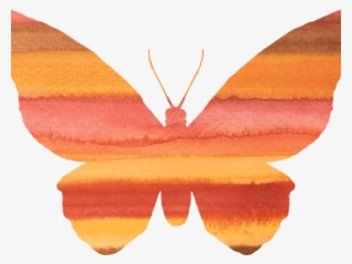 Butterfly Cliparts Silhouette - Clip Art