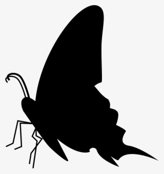 Butterfly Black Side View Silhouette Comments