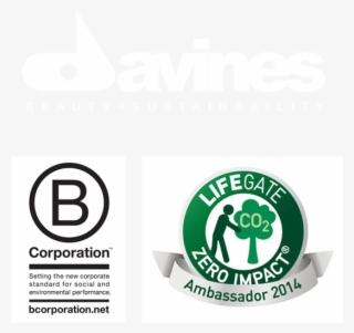 Davinesecologo - B Corporation