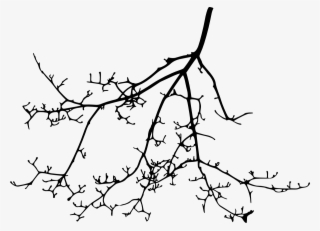 Tree Branch Silhouette Transparent Vol Png Sleek Silhouette - Line Art