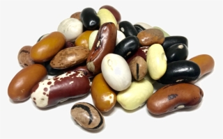 Shady Side Farm - Dry Beans