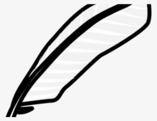 Feather Clipart Vector