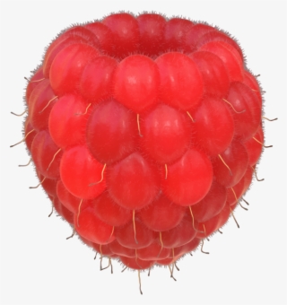 Raspberries - Wine Raspberry