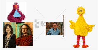 Free Png Big Bird Is Back Png Image With Transparent - Big Bird Is Back