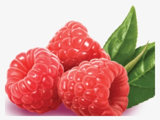 Raspberry Png Transparent Images