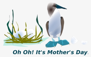 This Free Icons Png Design Of Sea Bird