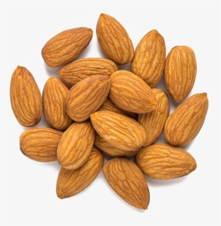 Nut Png Image Background - Nut