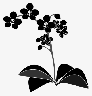 Clipart - Orchid Clipart Black And White