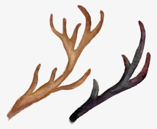 Deer Antlers H - Watercolor Flowers And Deer Antlers