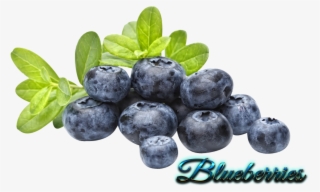 Blueberries Transparent - Capella Blueberry