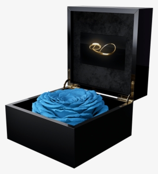 Luxury Lcd Display Flower Box Magna With A Xl Longlife - Rose