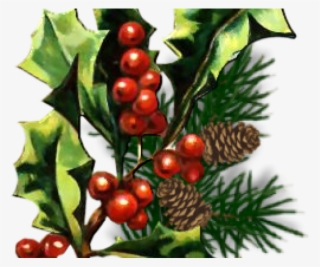 Christmas Holly Graphics - Christmas Tree