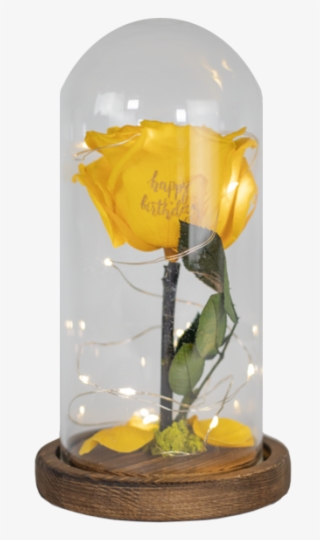 Preserved Rose W/led Lights - Rose