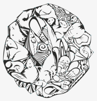 Sneaky Raccoon - Drawing