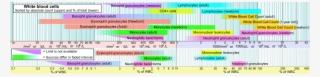 Reference Ranges For Blood Tests - Difference Between Leukocytosis And Leukaemia