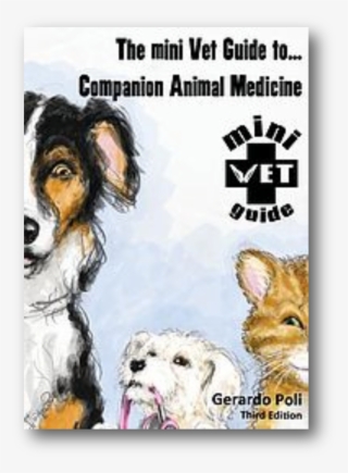 Find Out More About The Minivet Guide To Companion
