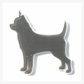 Schipperke