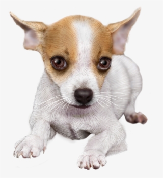 Chihuahua Sticker - Tube Chihuahua Png