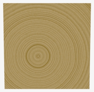 Radial Wood - Plywood