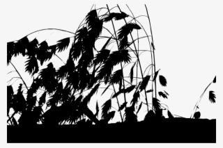 Medium Image - Silhouette