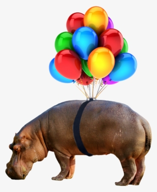 #hippo #nobackground #png #balloon - Balloons No Background Png
