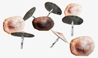File - Danmagicmushroombox - Doughnut